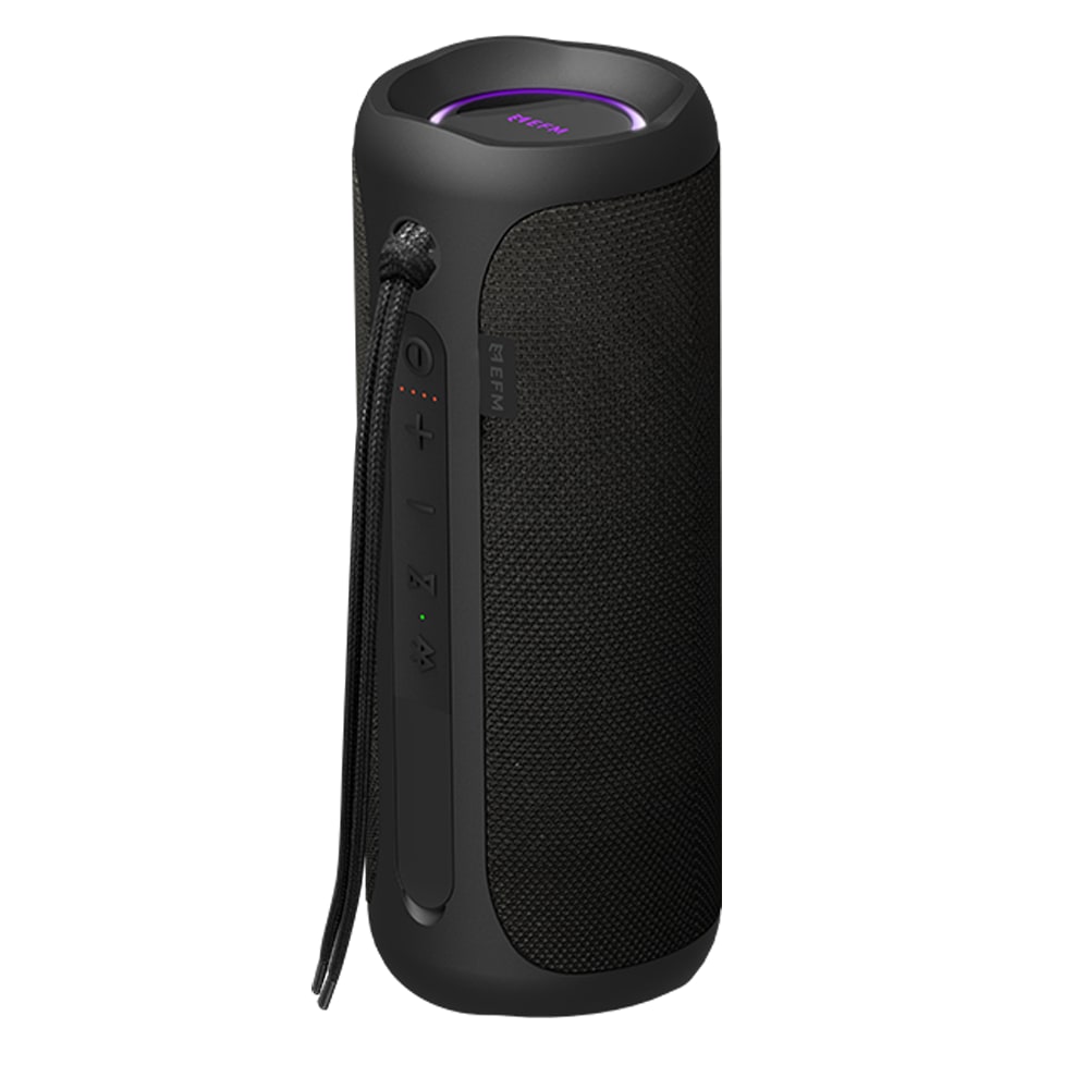 EFM Austin Bluetooth Speaker - EFBSAUL909PBL-3